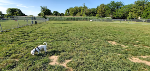 Little Creek Dog Park photo 2